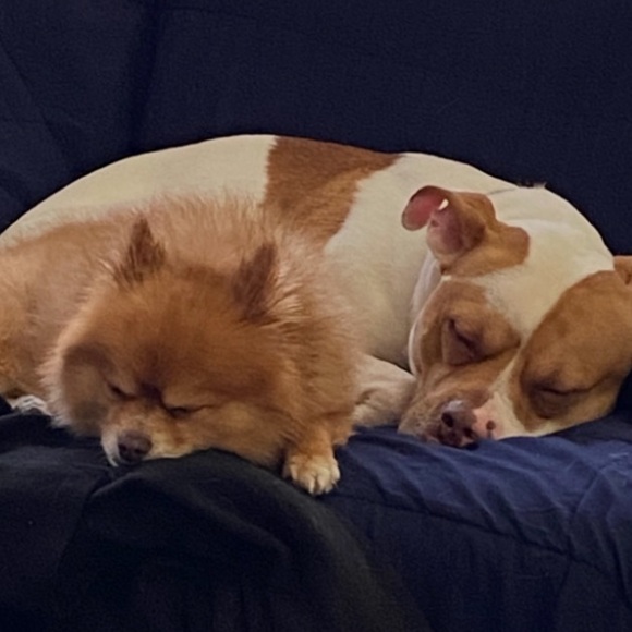 Today! 1pm eastern SHARE SHOW! See u there ❤️ - Picture 4 of 9